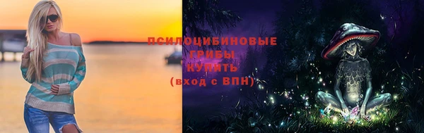 ешки Дмитров