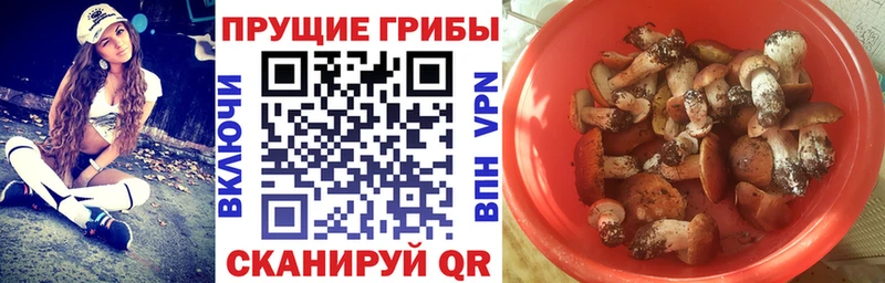 Галлюциногенные грибы мицелий  Архангельск 